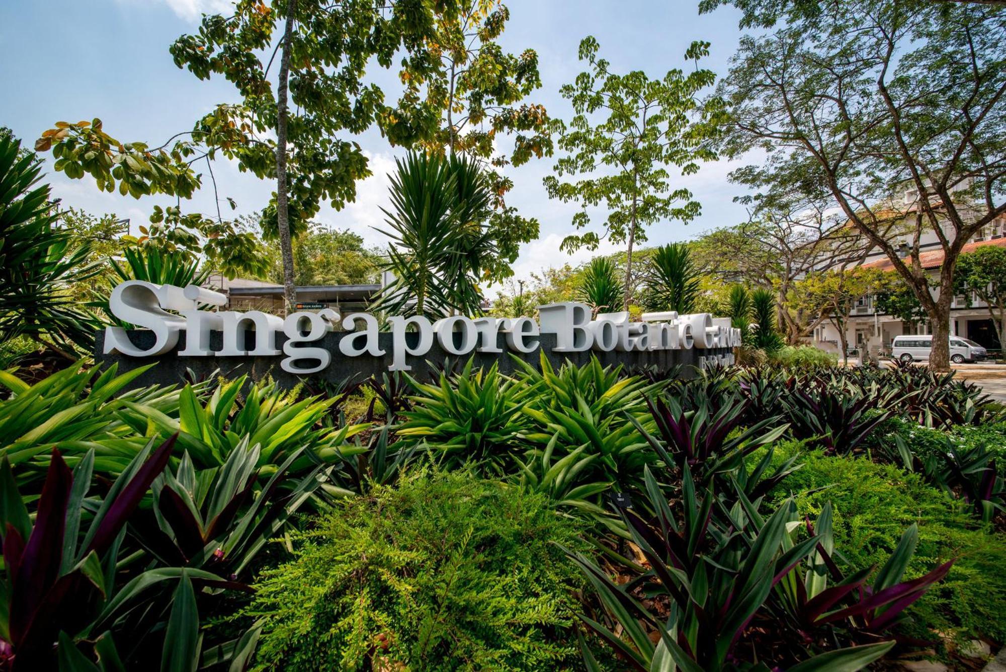 Voco Orchard Singapore By Ihg Exterior foto Singapore Botanic Gardens